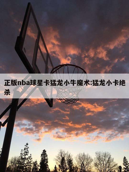 正版nba球星卡猛龙小牛魔术:猛龙小卡绝杀