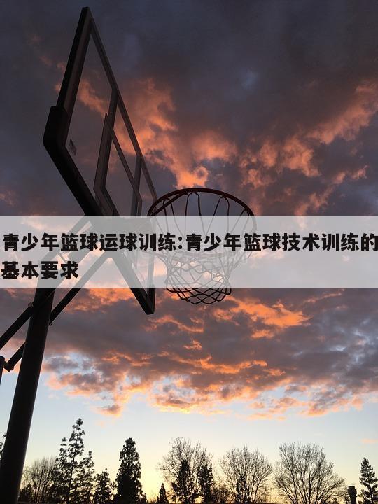 青少年篮球运球训练:青少年篮球技术训练的基本要求