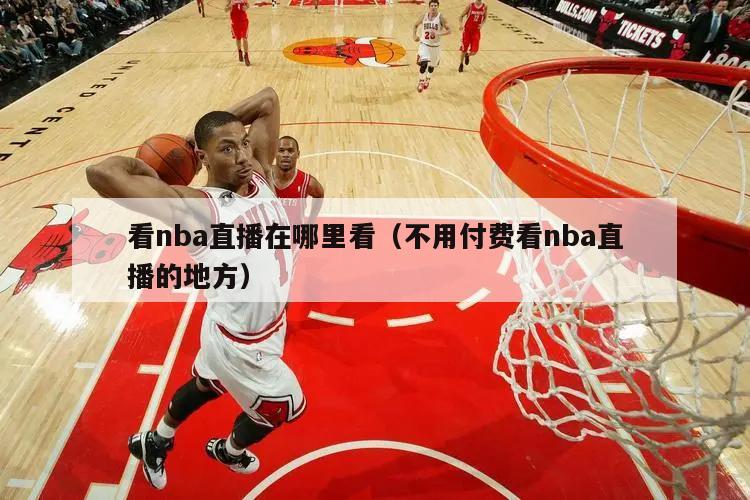 看nba直播在哪里看（不用付费看nba直播的地方）