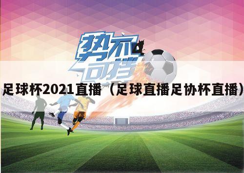 足球杯2021直播（足球直播足协杯直播）