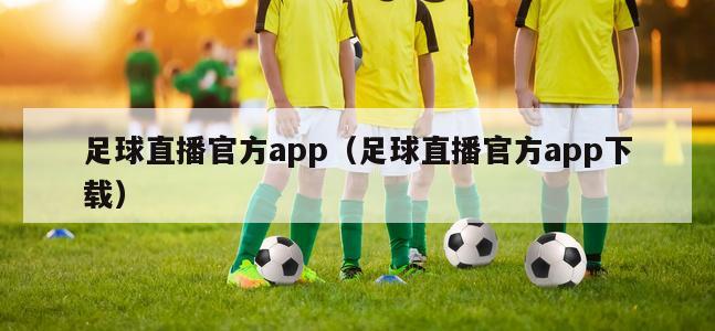 足球直播官方app（足球直播官方app下载）