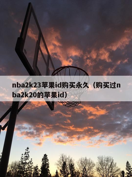 nba2k23苹果id购买永久（购买过nba2k20的苹果id）