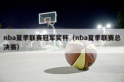 nba夏季联赛冠军奖杯（nba夏季联赛总决赛）