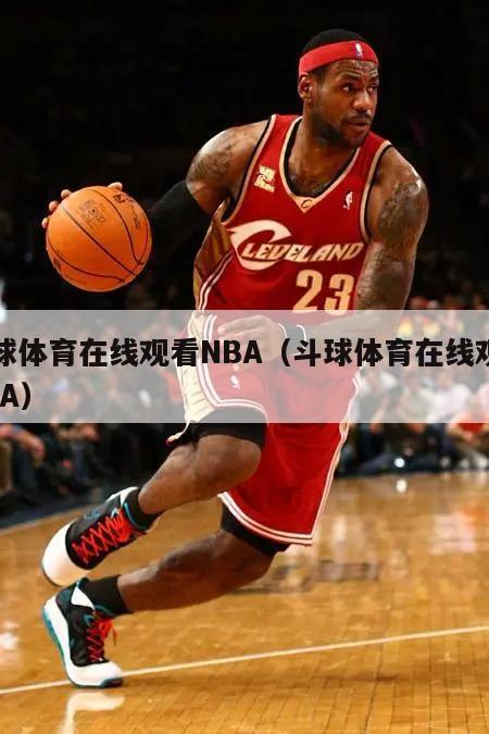 斗球体育在线观看NBA（斗球体育在线观看NBA）