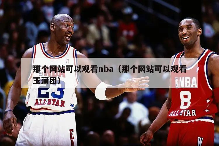 那个网站可以观看nba（那个网站可以观看玉蒲团）