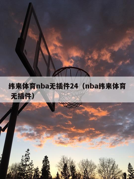 纬来体育nba无插件24（nba纬来体育 无插件）