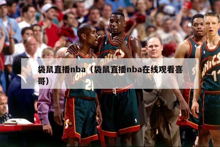 袋鼠直播nba（袋鼠直播nba在线观看喜哥）